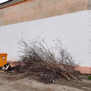 Чистота — дело общее, а вывоз мусора — дело организованное. Регоператор рассказывает артемовцам, кто в ответе за отходы после субботников